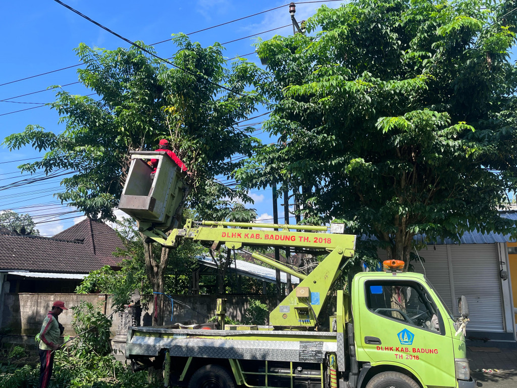 KARANG TARUNA DESA ANGANTAKA BERSAMA DLHK KABUPATEN BADUNG LAKUKAN PENEBANGAN POHON